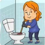 Read more about the article Do You Do Toilets?