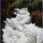 Read more about the article The Rushing River of Our Lives