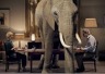 Read more about the article The Elephant in Your Room!
