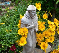 Read more about the article A Prayer by St. Francis of Assisi!